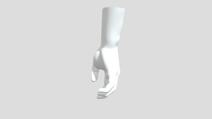 Hand 3D Model