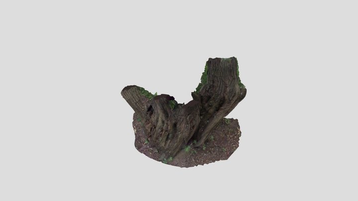 Tree one 3D Model
