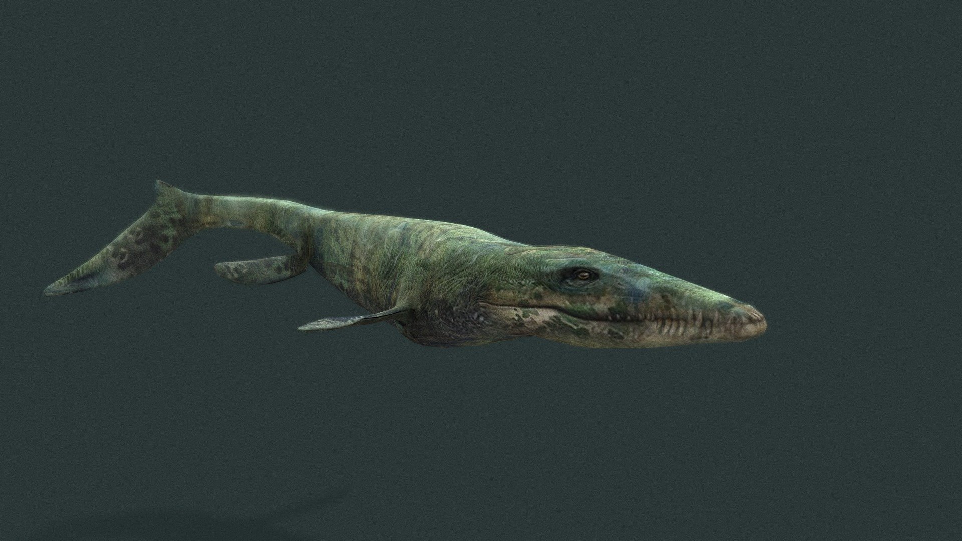 мозазавр mosasaur - Download Free 3D model by Paleo Modelist (@victory ...