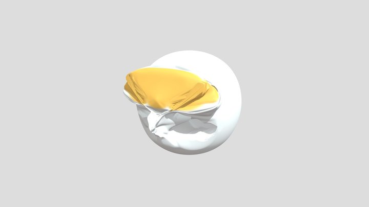 My model 3D Model
