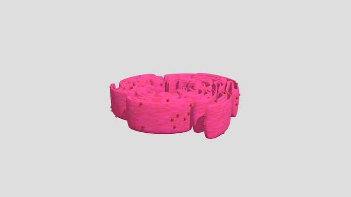 endoplasmic_reticulum 3D Model