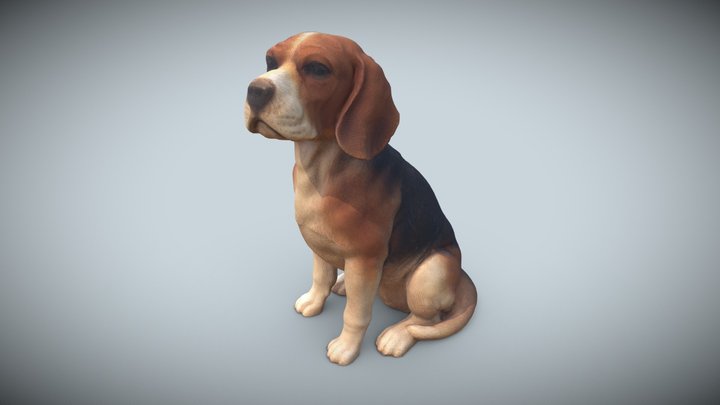 BeagleDog_Quad001 3D Model