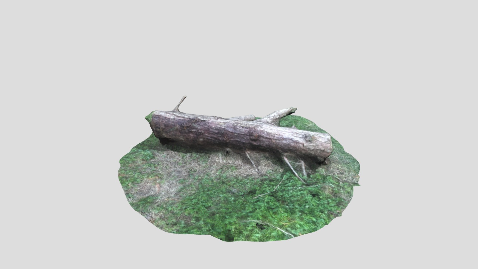Yes Log! All kids love LOG!