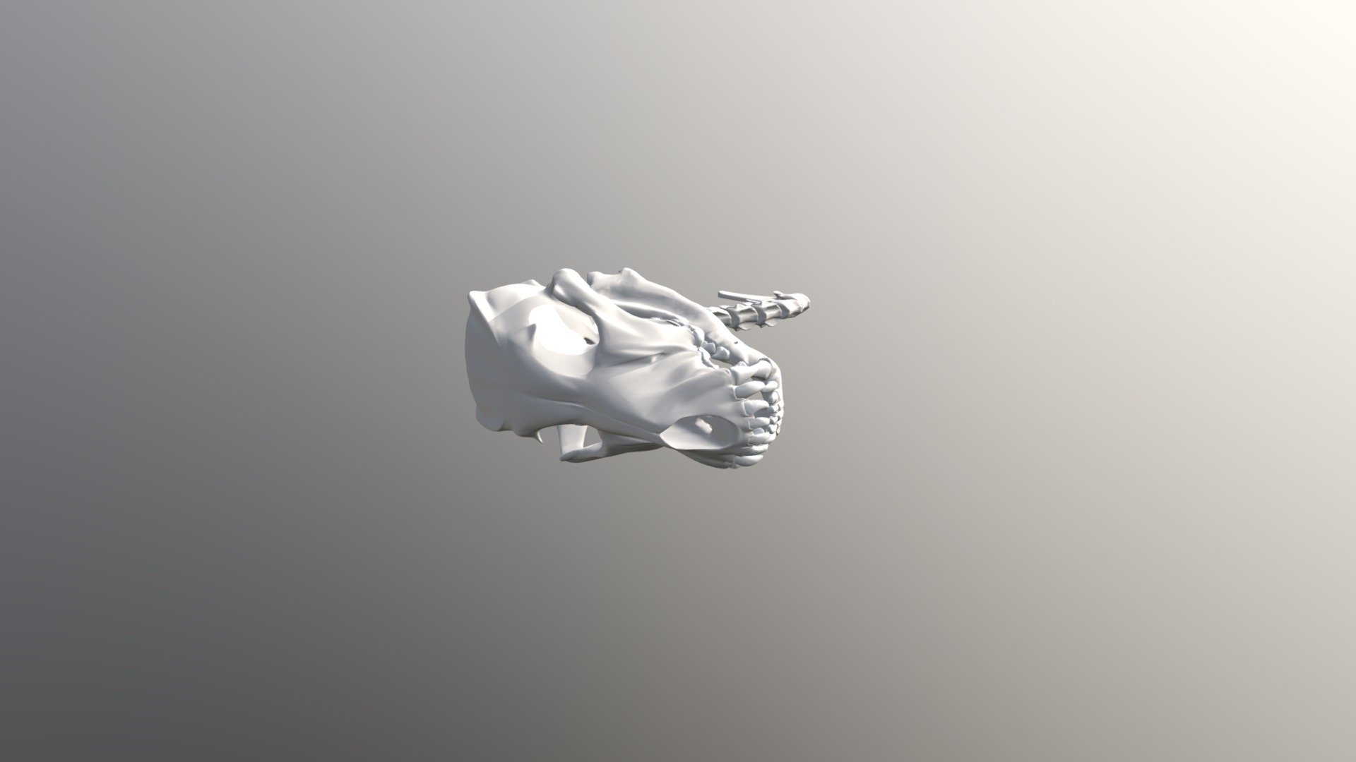 Skull A