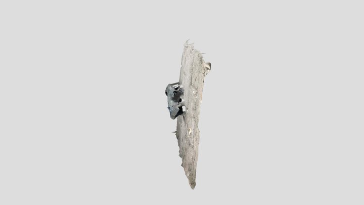 My awesome 3D scene 3D Model