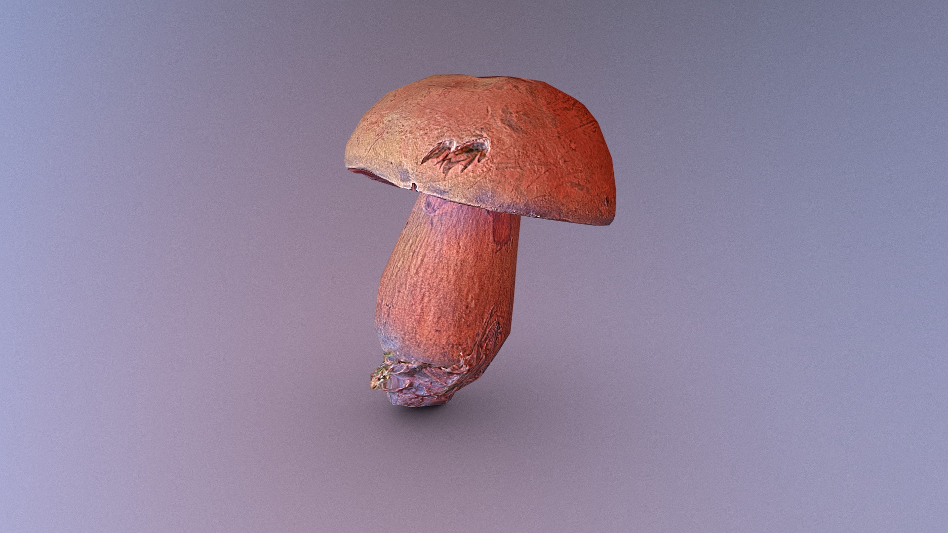 3D model Photorealistic mushroom some sort of Boletus - This is a 3D model of the Photorealistic mushroom some sort of Boletus. The 3D model is about a close-up of a mushroom.