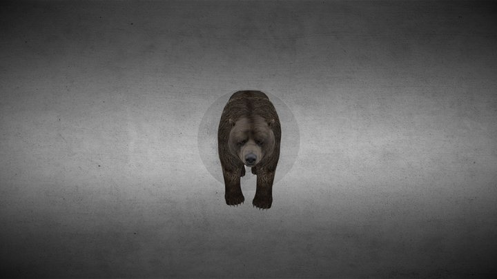 Bear 3D Model