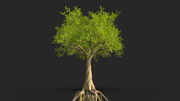 Tree-1 3D Model
