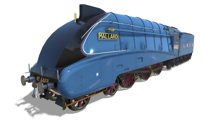 Mallard 3D Model