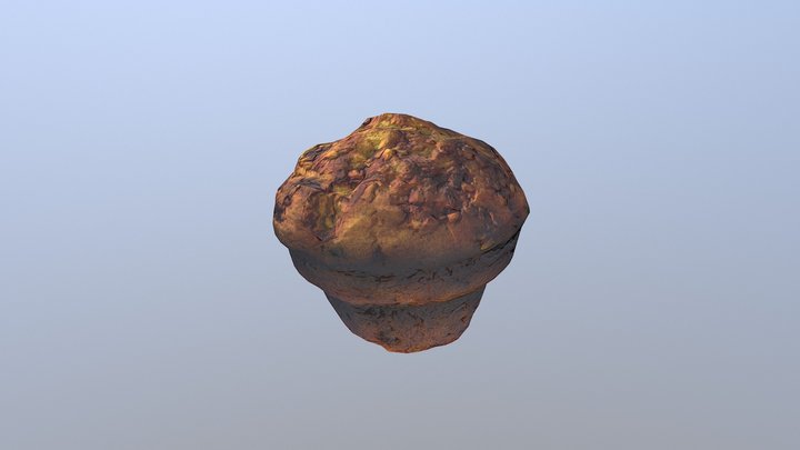 Muffin Modelling 3D 3D Model