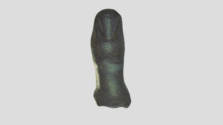 Bronze thumb from a life-size statue 3D Model
