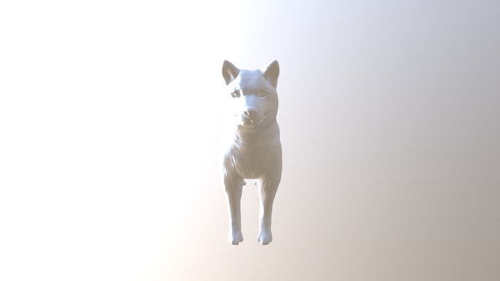 Dog T (1) 3D Model