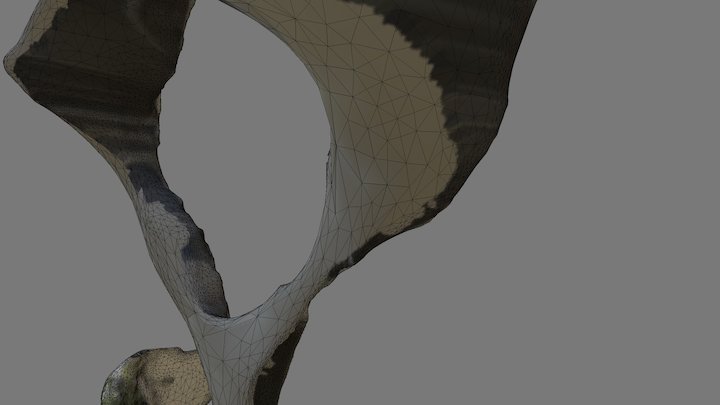 Ornament 3D Model