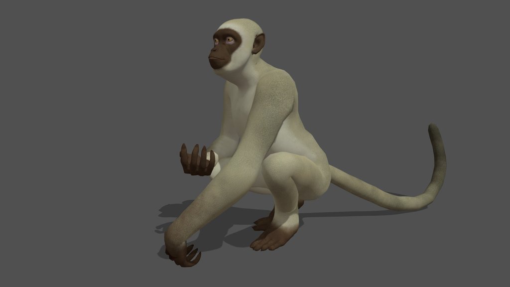 Animated Monkey – 3D Animal Model