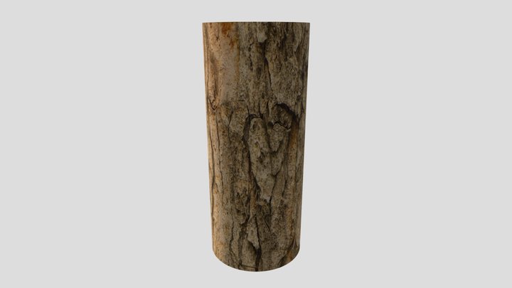 Realistic Tree Bark 3D Model
