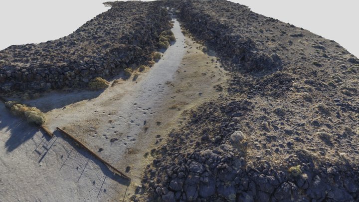 Canyon with Rock Art 3D Model