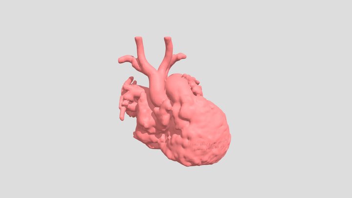 Heart02 3D Model