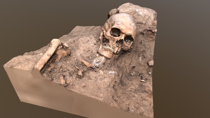 Church excavation Skull close-up 3D Model