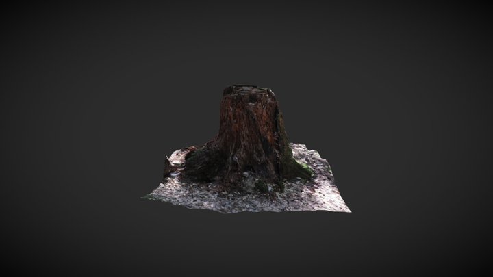 Hendy Woods Redwood Stump 3D Model