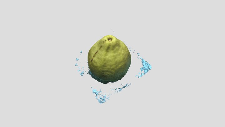 Guava Fruit 3D Model