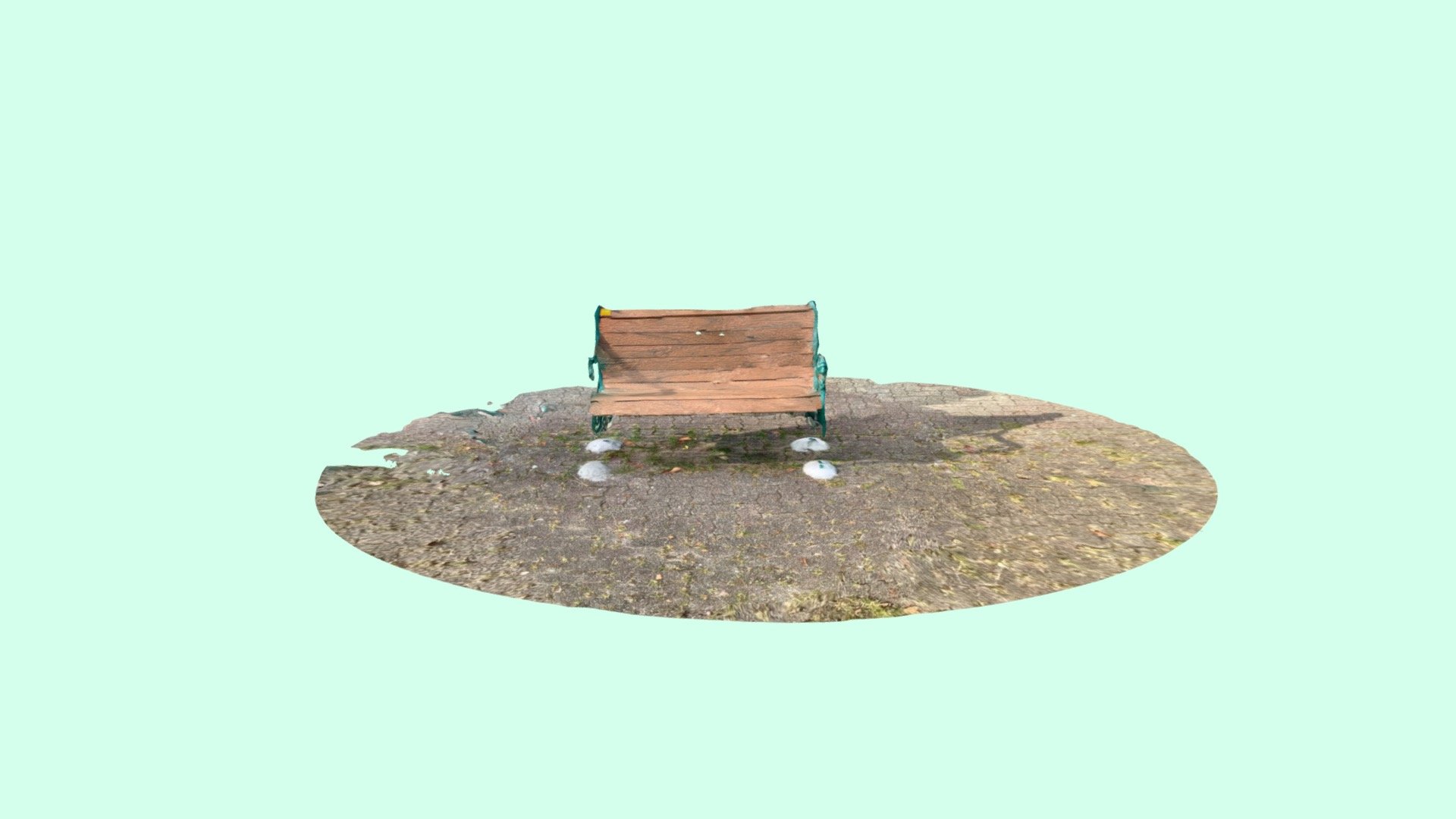 Macritchie Reservoir Park Bench