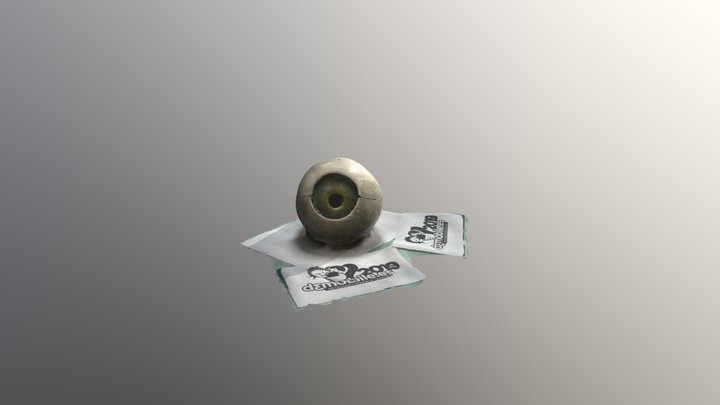Human Eye Test 2 D3MOBILE CAMPUSTERRA OutOfOrbit 3D Model