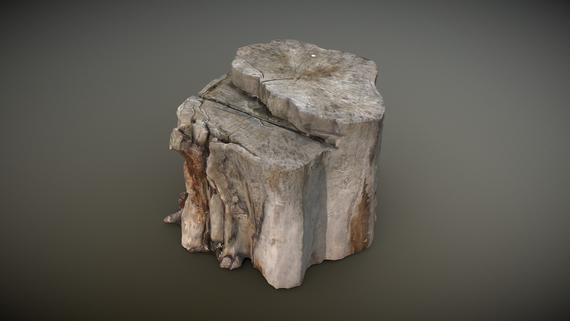 Old Autumn Stump