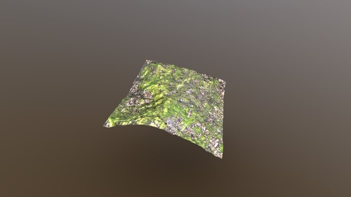 Mossy Hill – Free 3D Model STL