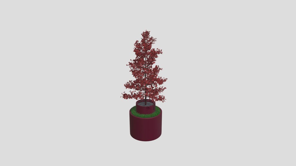 Potted Red Leaved Tree And Grass