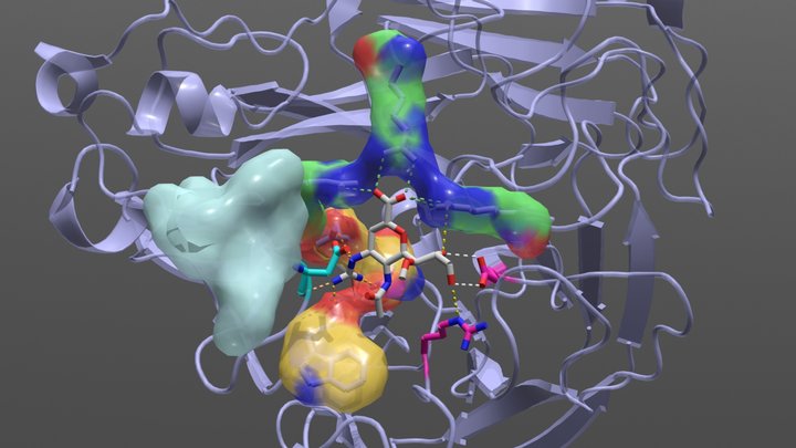 H12N5 Neuraminidase with Laninamivir 3D Model