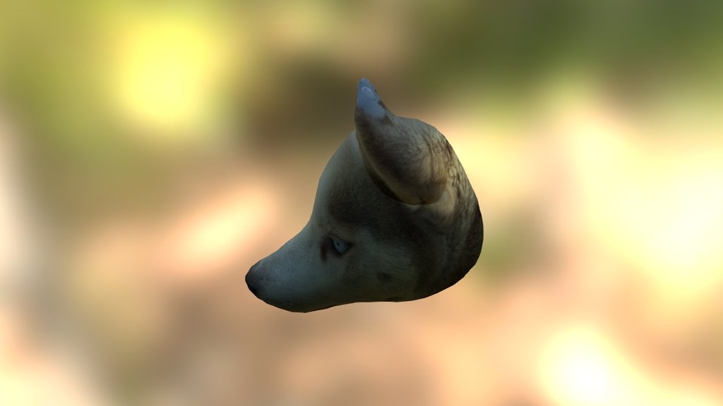 Smoothie-3D upload