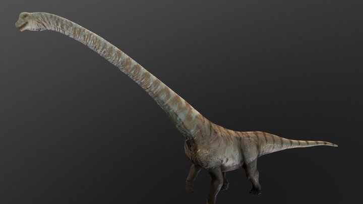 Mamenchisaurus 3D Model
