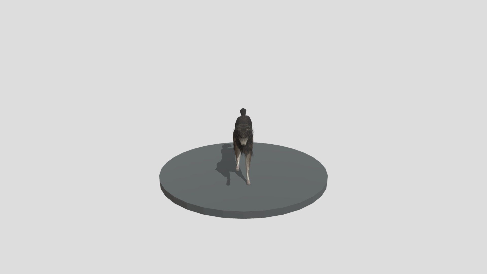 Wolf- Blender