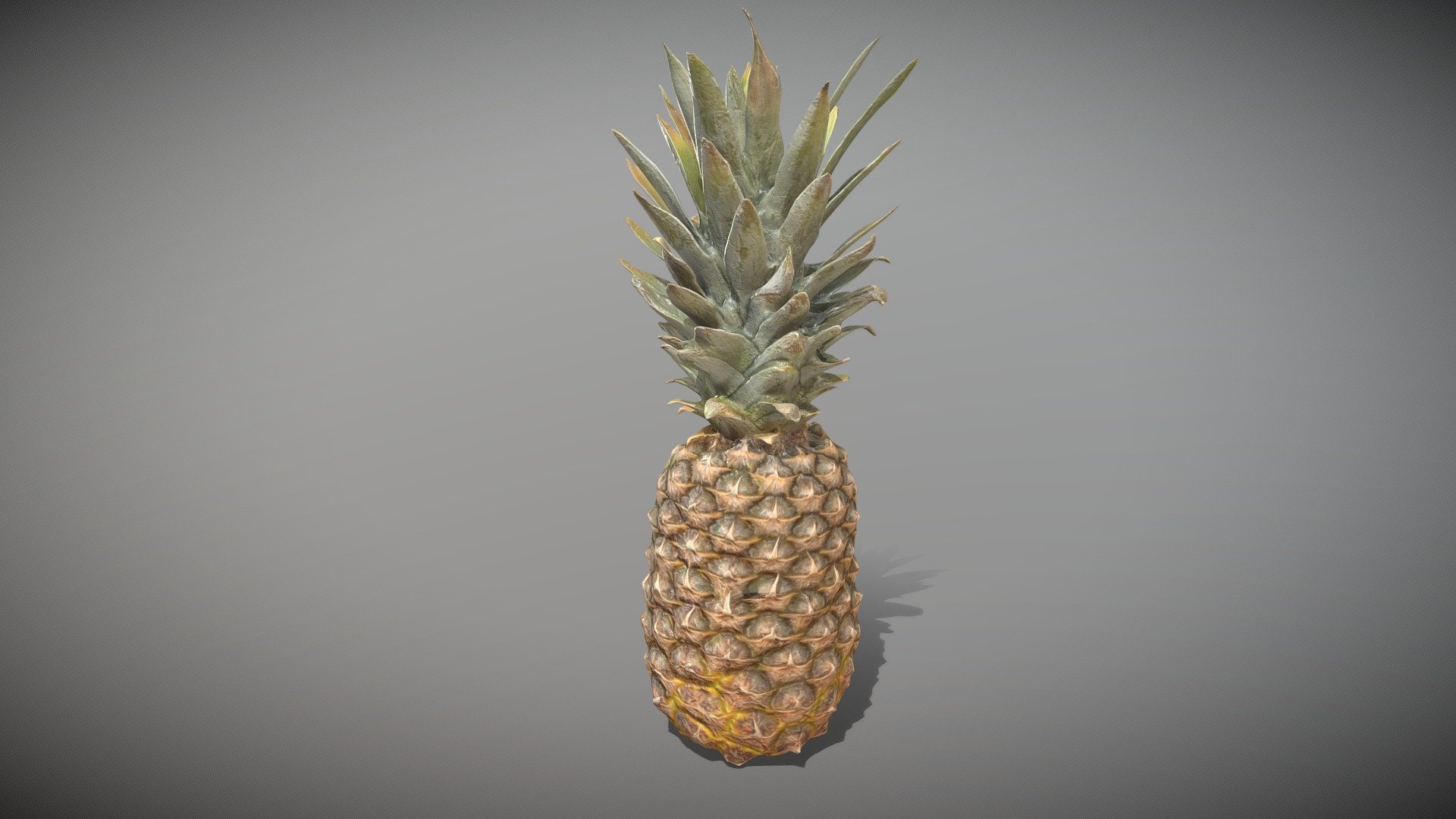 pineapple-29-buy-royalty-free-3d-model-by-deep3dstudio-f1968de