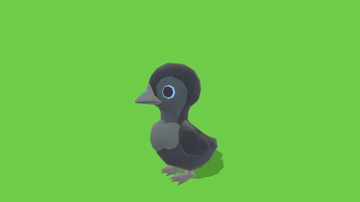 Crow Baby - Animated Low Poly