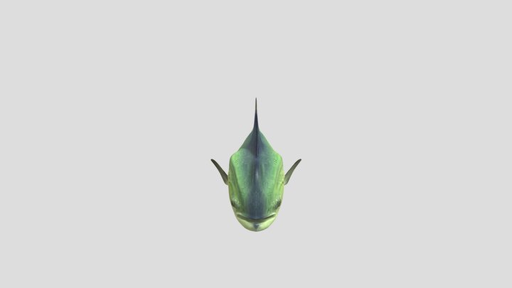mahi mahi