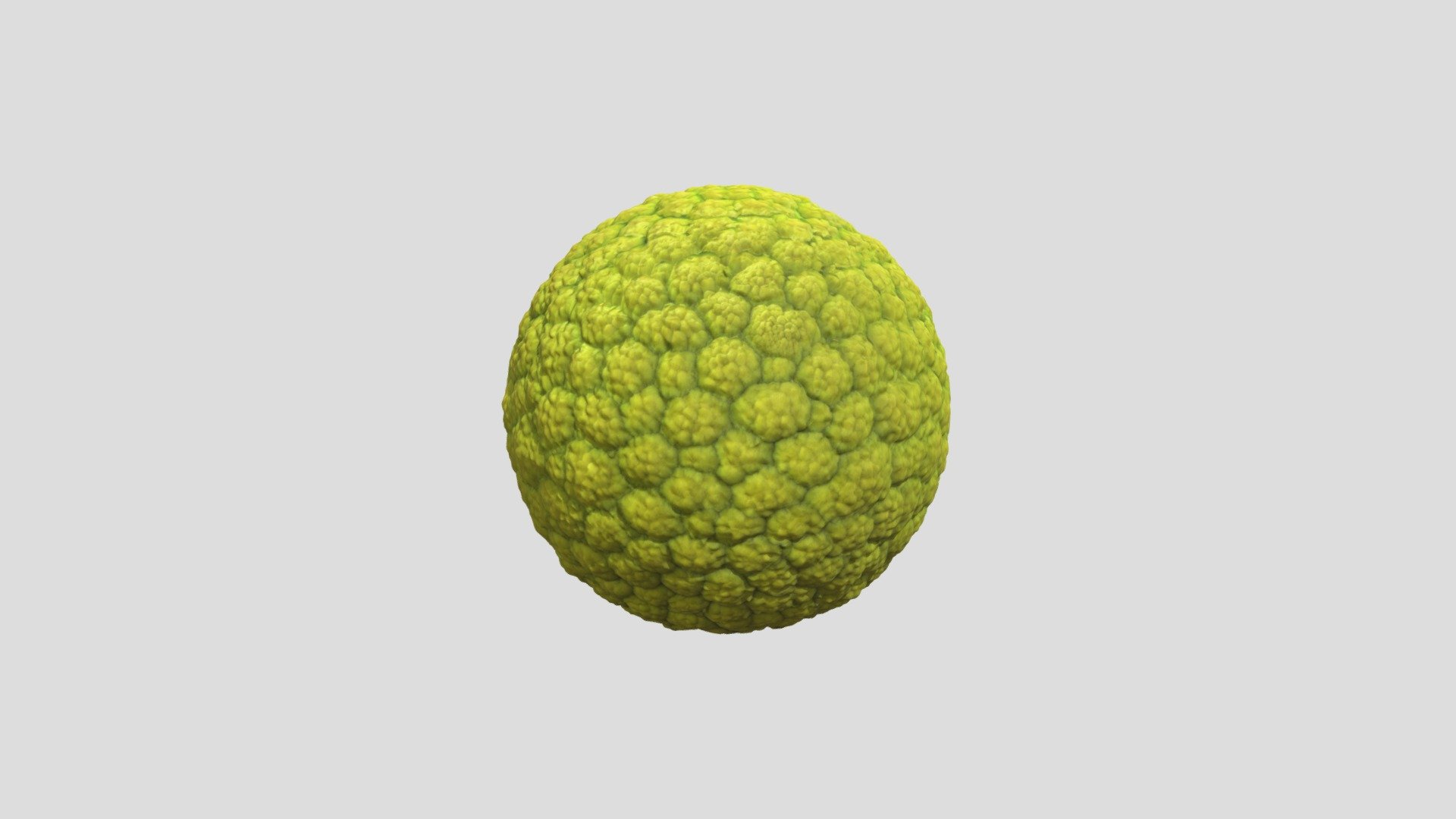 MÔ HÌNH CẦU KHUẨN (COCCUS) - 3D model by neobiolab (@butchi25196 ...