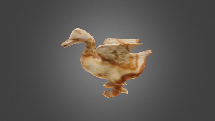 DuckBill 3D Model
