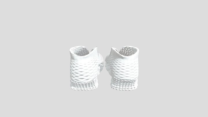 Asim ETRI 3D Model