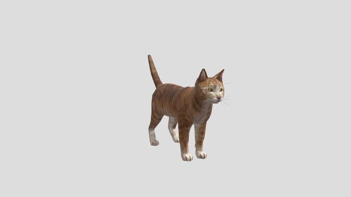 brown cat 3D Model