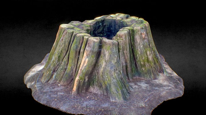 Huge Tree Stump – Modelo 3D gratuito STL