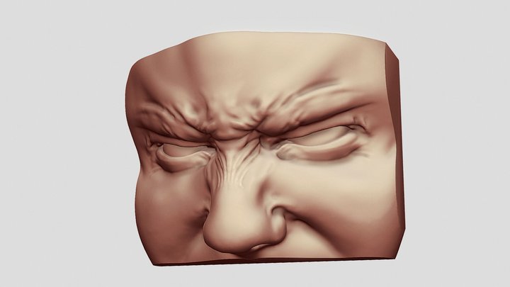 Angry Eyes / Scrunched Nose Sculpt 3D Model