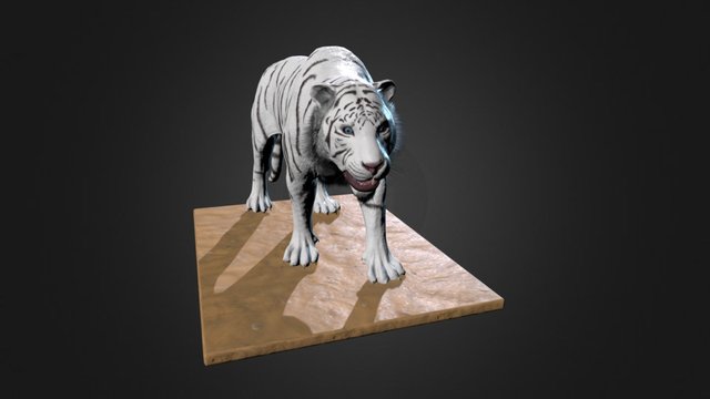 Tiger 3D Model