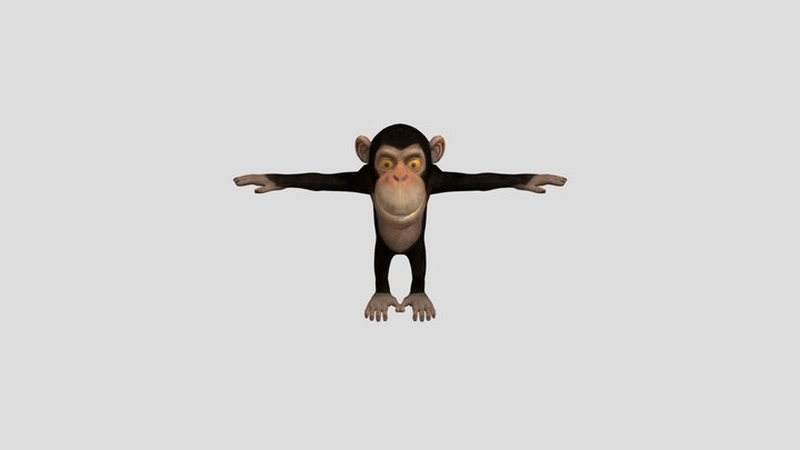 Animated Rigged Chimpanzee Monkey - Rigged Chimp 3D Model