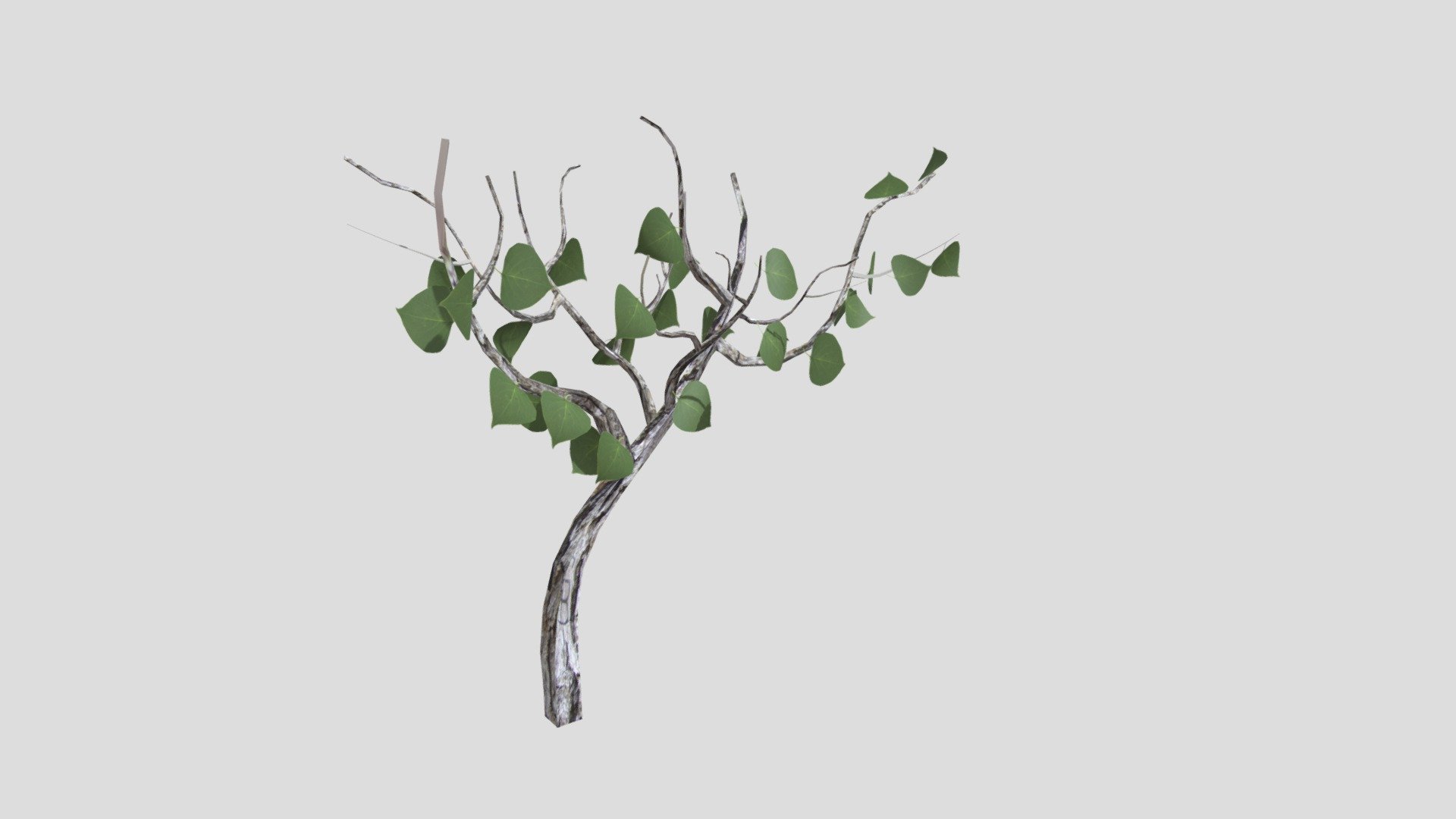 tree