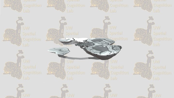 Axial Slice 13