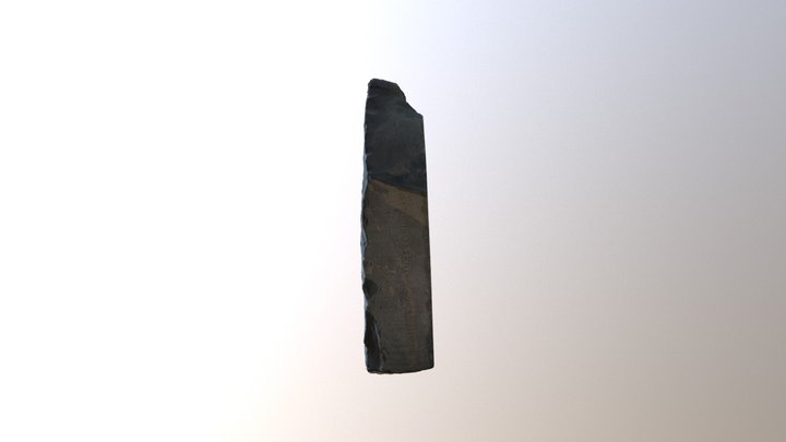 Rosetta Stone226 3D Model