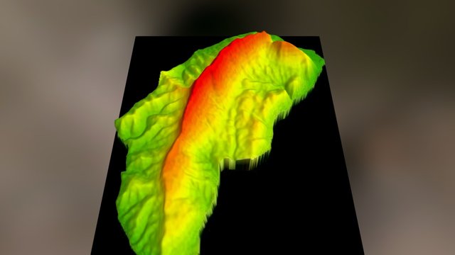 Masivul Piatra Craiului 3D Model