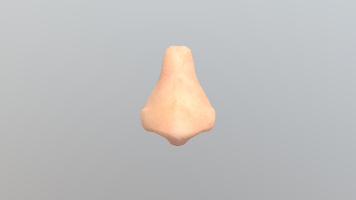 Nose 3D Model