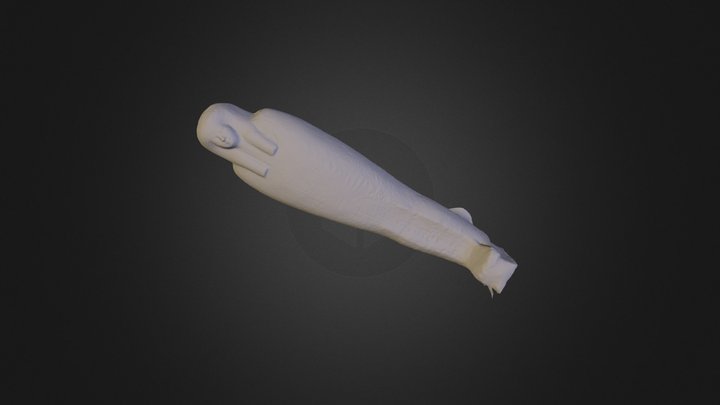 Mummy Of Tabes 3D Model